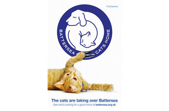 Battersea Cats Takeover in New Campaign