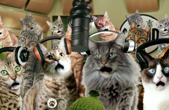 JWT London Joins the Cats of the Internet for #CatAid