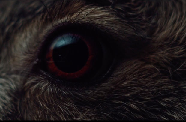 Andrea Marini Directs Striking 'Visual Ode to the Hare in the Woods' for Massimo Bottura