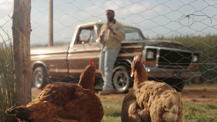 Philosophical Chickens Ask 'What Came First, the Cookie or the Cookie Dough?' in Twix Spot