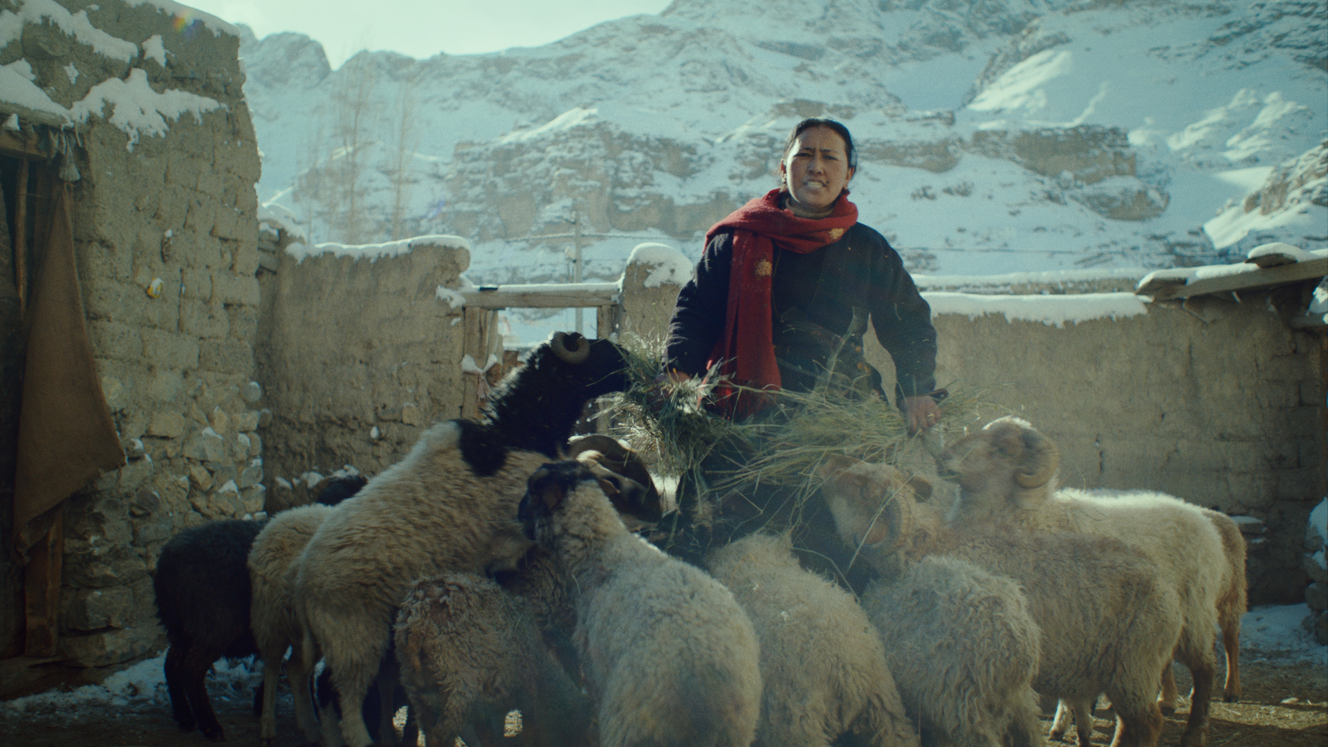 Marek Partyš Directs Short Film 'Physics in Little Tibet'