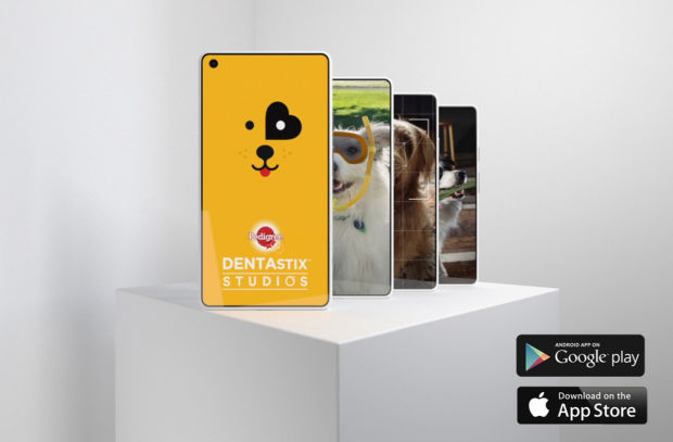 Pedigree Brand’s Mission to Bring the Good Back to Social Media with Dogs
