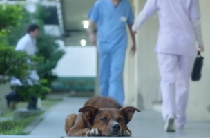 Organ Donor PSA Will be the Most Heartbreaking Thing You See Today