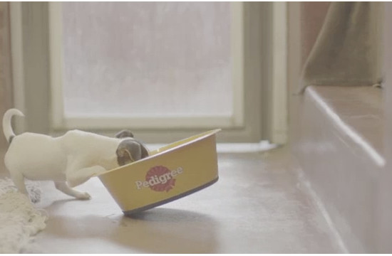 Pedigree Campaign Looks to Feed Rescue Dogs