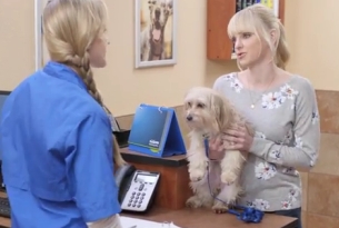 Anna Faris & Jennifer Coolidge are Partners in Pethood for PetSmart Spots