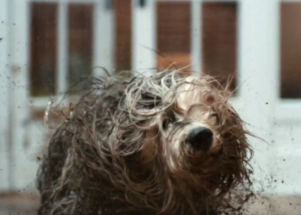 Dulux Makes a Splash with Latest Messy Spot from BBH London
