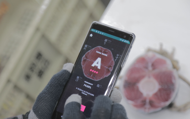 Dentsu Develops Tuna Scope, AI Technology Judging Tuna Quality