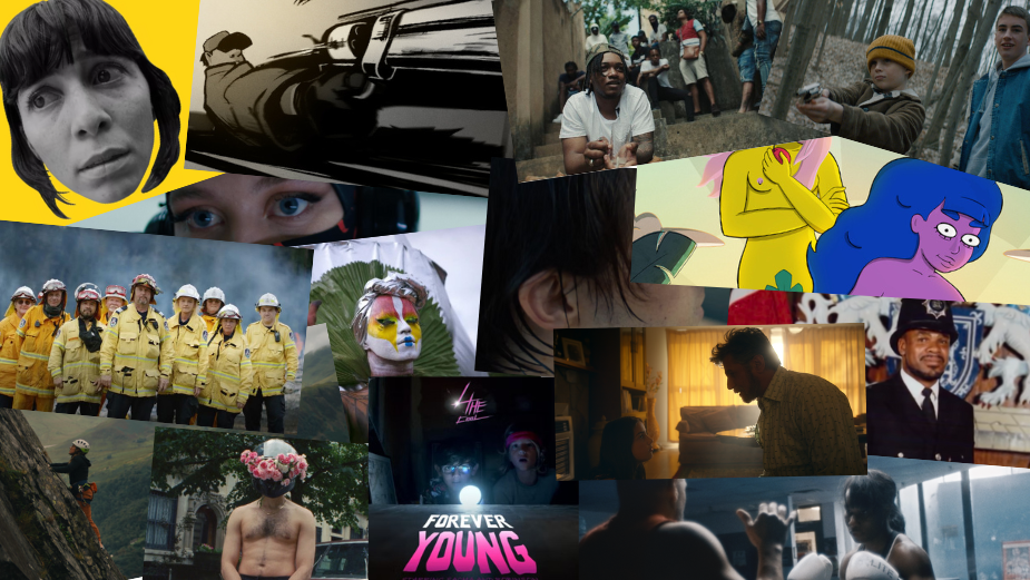 Binge Watch Our 2022 Film Club Showcase