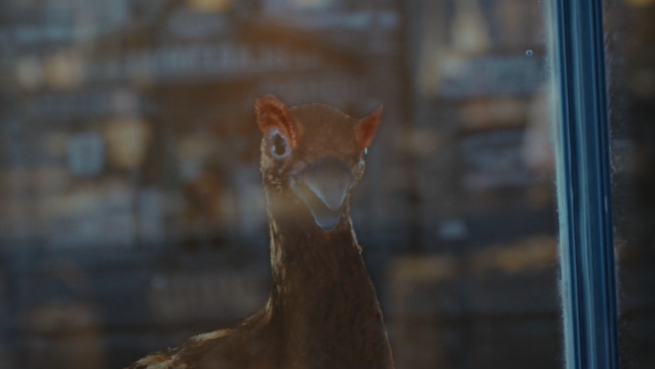 Famous Grouse Takes You on a Flight through Fame in Spot from the Leith Agency