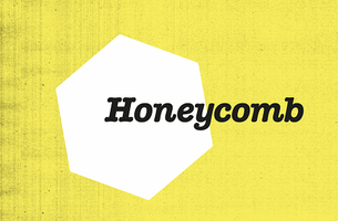 Honeycomb Adopts Bees for World Honey Bee Day