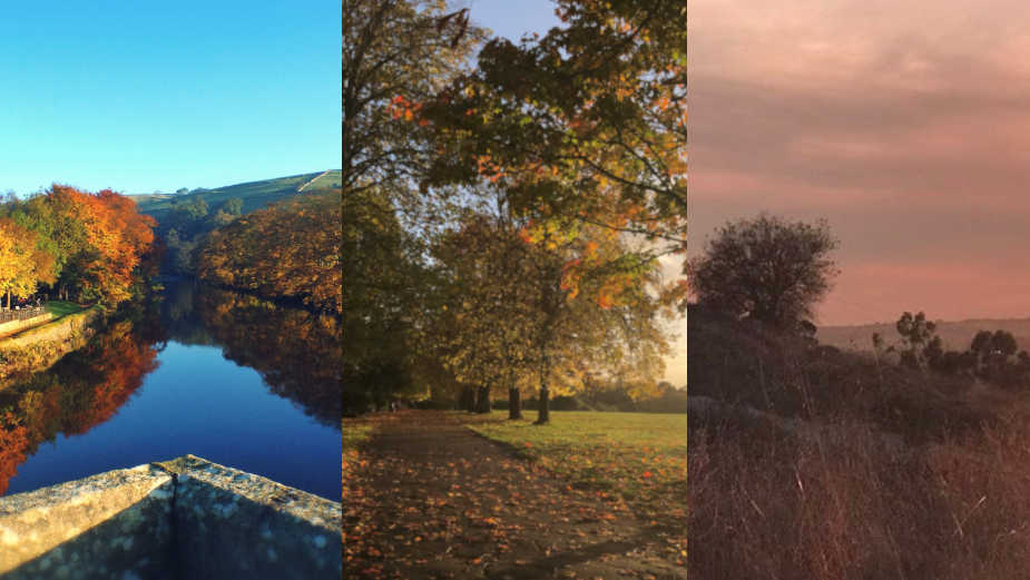 11 Colourists on the Joys of Falling into Autumn