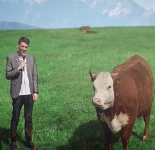 New Zealand Jerky Tells Hu-Moo-Rous Jokes to Cows to Promote Their New Beef Jerky