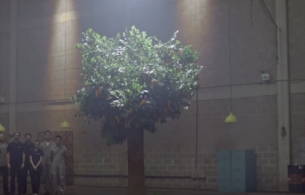 Ice Cream Tree of Dreams Features in WMcCann's New Windows 10 Ad