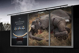 Stop Ivory's Shocking New Campaign by JWT London Aims to Enforce UK Ivory Ban 