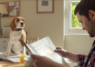 Talking Dog Has a Lot to Say in VCCP's New Beagle Street Spot