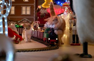 Cats Cause Christmas Chaos in adam&eveDDB's Festive Temptations Ad