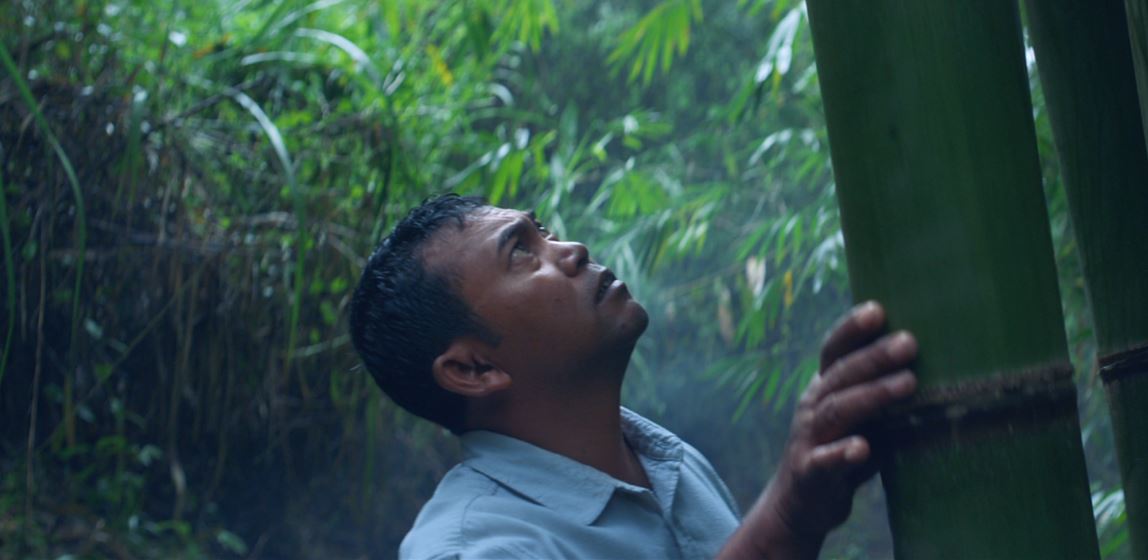 Nespresso Launches New Master Origin Range with Stunning Rainforest Films