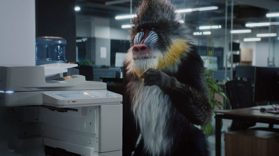Singing Animated Mandrill Escapes Monotonous Reality in Travel Spot