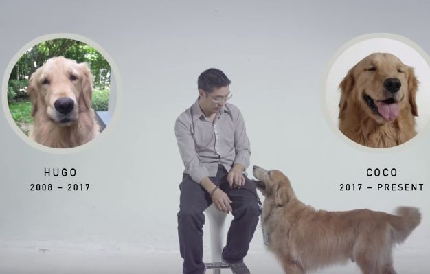 BBDO Bangkok Keeps Man's Best Friend Alive with 'Immortal Adoption'