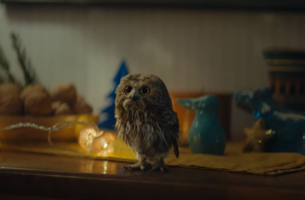 This Fluffy Little Owl is Spreading the Message of Christmas Charity for Supermarket Migros