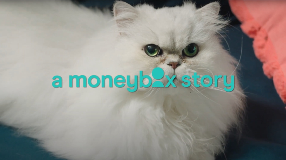 Who Calls a Cat Wayne? Moneybox Teams with 20something to Launch Latest Campaign