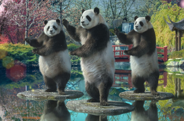 Sudocrem Celebrates Its 'Soothing' Heritage with Some Tai Chi Pandas