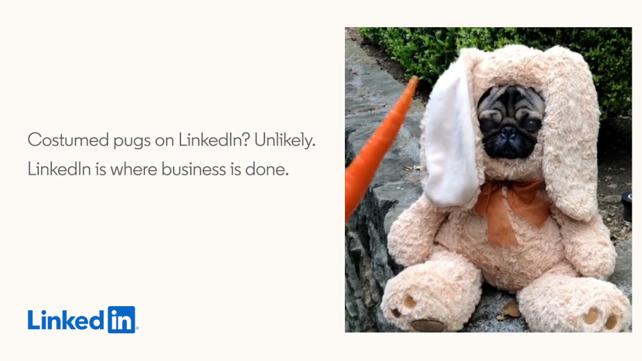 Costumed Pugs Don't Belong on LinkedIn in Campaign from 215 McCann