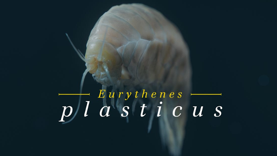 Scientists Name Deep Sea Creature to Highlight Plastic Pollution Crisis