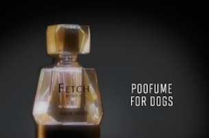 Unleash Your Inner Bitch with 3MillionDogs' Brand New 'Poofume'