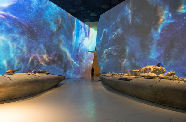 National Museum of Qatar Celebrates Country's Rich History with Immersive Film Galleries