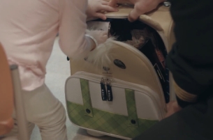 Delta & W+K NY's Bear Bags are Back to Bring Joy to Sick Kids