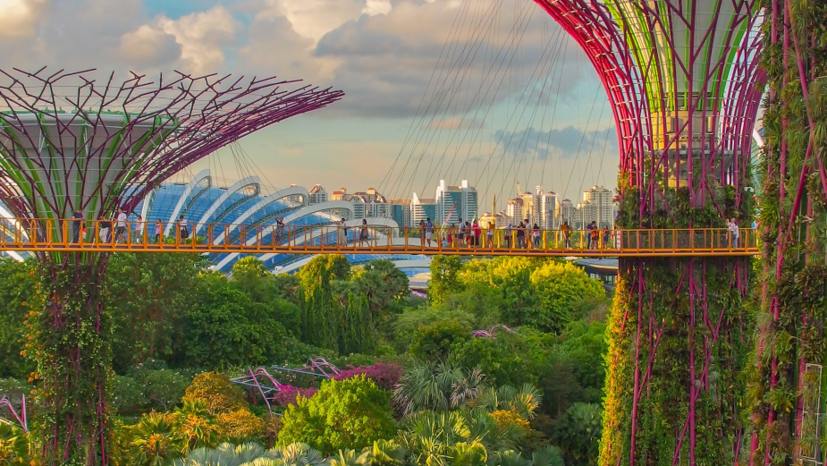 Sustainable Living in Singapore