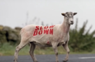 THINK! Stunt Turns Country Road Hazards Into Helpful Hints