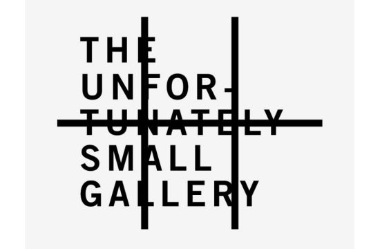 Anomaly Launches 'Unfortunately Small Gallery'