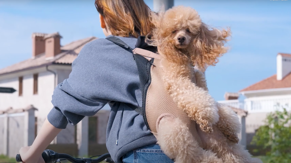 Inside the Marketing Menagerie at Booming Pet Brand Stella & Chewy’s