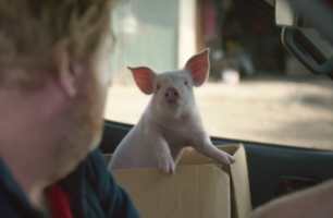 Vodafone & FCB New Zealand Introduce Piggy-Sue 