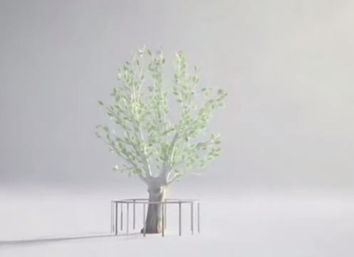 This 9/11 'Survivor Tree' Film from BBDO NY Offers Hope for the Future
