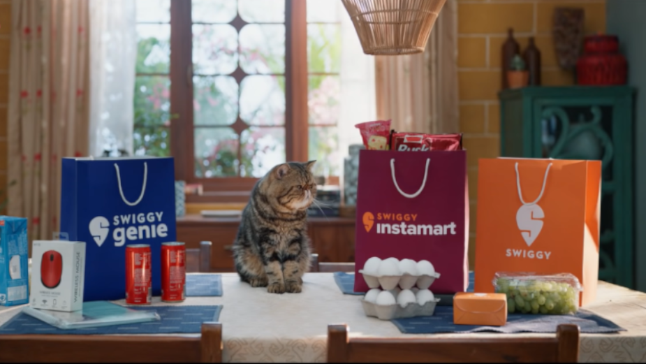 Feline Narrates Cat-Astrophe as Her Owner Stays Home Thanks to New Delivery Service