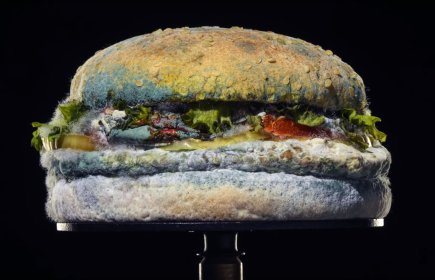 Fresh or Funky? System1 Crunches the Numbers on Burger King’s Moldy Whopper