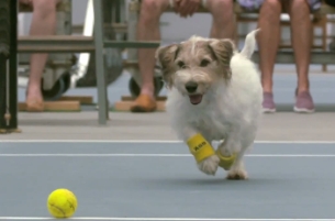 Tennis Star Venus Williams Serves with the Cutest Ball Boys You'll Ever See