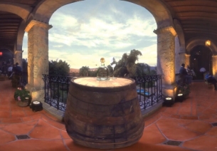 Get a Bee's-eye View of the Patrón Distillery with This New VR Experience