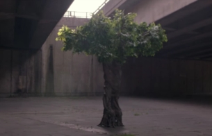 Unilever's Walking Talking Tree Moves to the City to Escape Deforestation