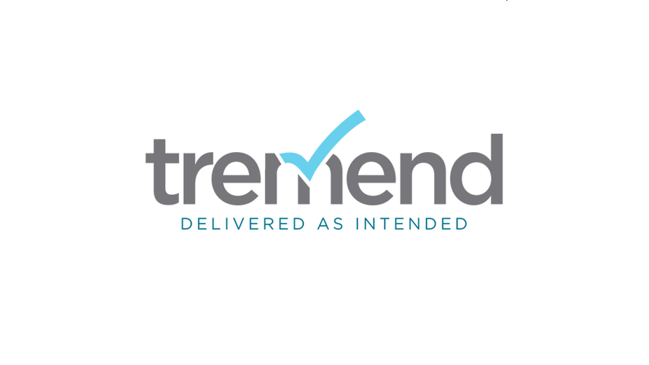 Publicis Groupe Acquires Romanian Software Engineering Company Tremend