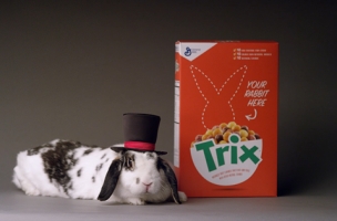 McCann NY Begins Search for the Real Trix Rabbit with Wonderfully Fluffy Video