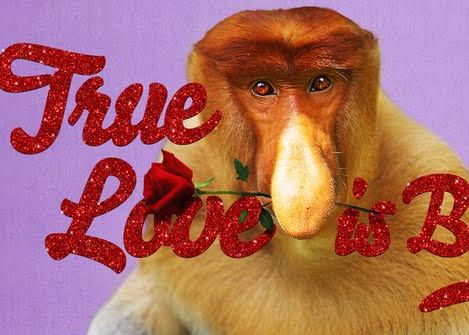 Ugly Animals Search for Love in Droga5's Valentine's Day Cards