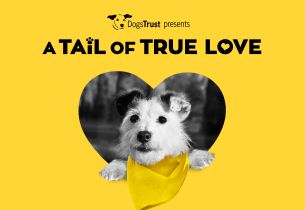 TMW's Valentine's Day Campaign for Dogs Trust is About the Love of Scooping Poop