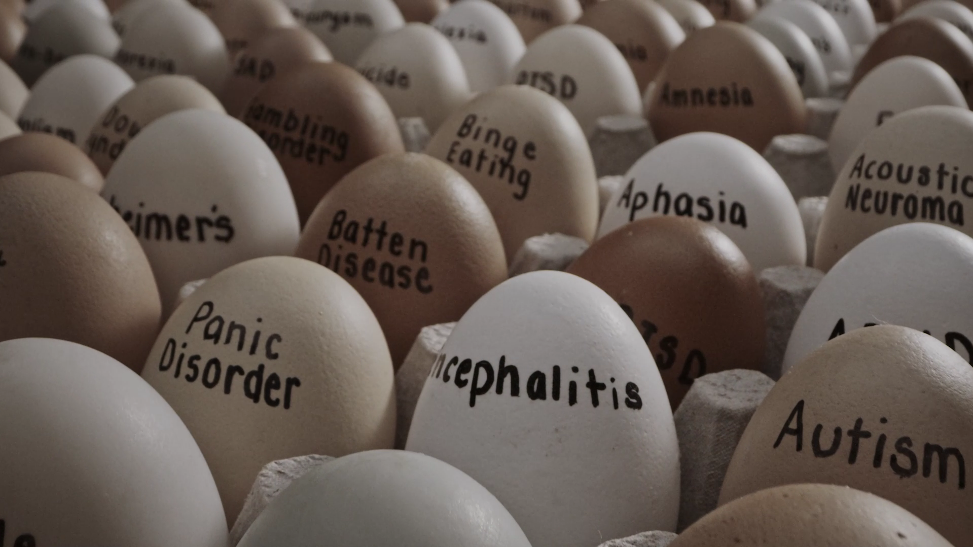 Eggs Are a Metaphor for Brain and Mental Health Disorders in United Brain Association’s Latest Campaign