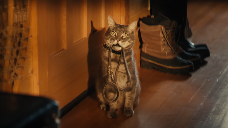 Walter the Cat is Back for Winter in Chevy Spot from Commonwealth//McCann