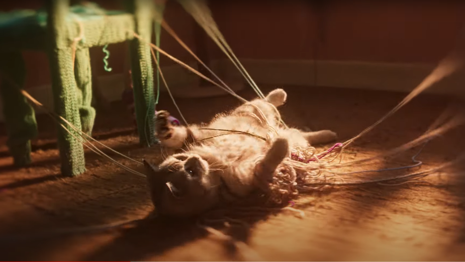 Creating a “Magical Cat Nirvana” Through Animal Psychology, Music and Filmmaking