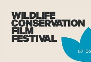 Wildlife Conservation Film Festival Names DDB New York Agency of Record |  LBBOnline
